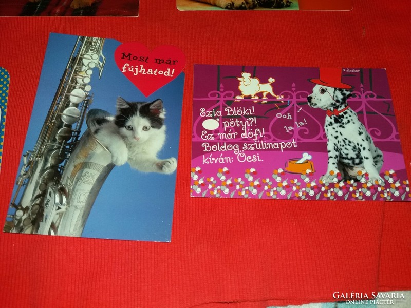 Retro képeslapcsomag 7 db postatiszta kutyás cicás állatos extra humoros GYÁRI ÁLLAPOT 25