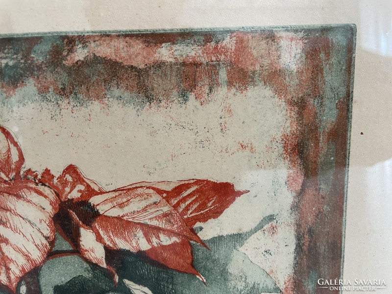 Maurer Dóra virágcsendélet csendélet színes rézkarc grafika