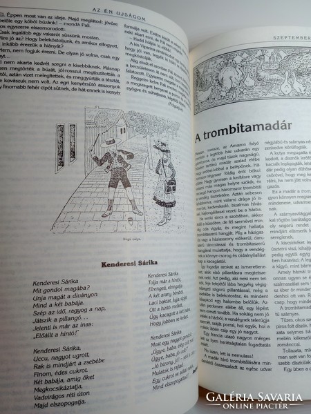My newsletter - a selection from the children's newspaper of Benedek Elek and Lajos Pósa 1889-1914