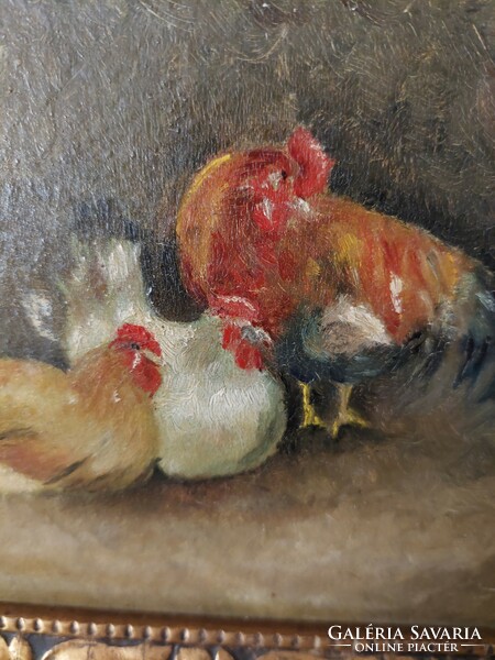 Hens with roosters