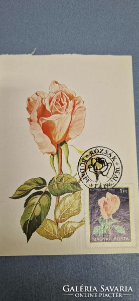 Képeslap, 1982 IV.30. Budapesti bélyegzéssel, Rózsák, Michéle Meilland, 1 Ft-os bélyeggel.