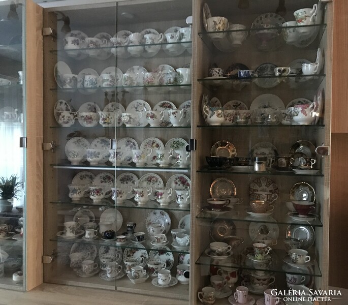 Coffee cup collection more than 300 pieces.