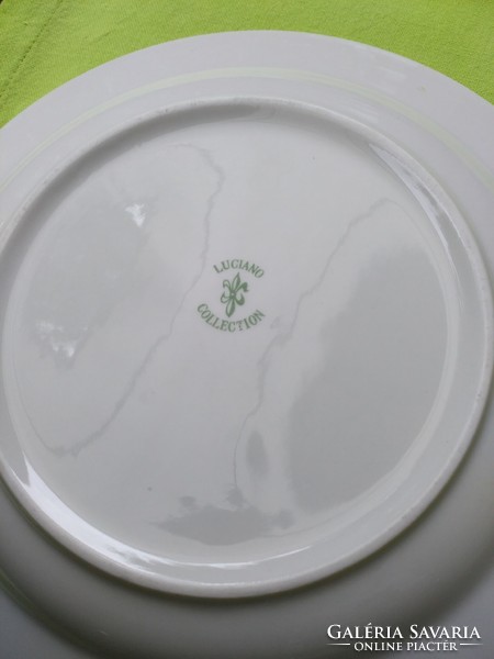 Spring meadow Luciano thick porcelain collection