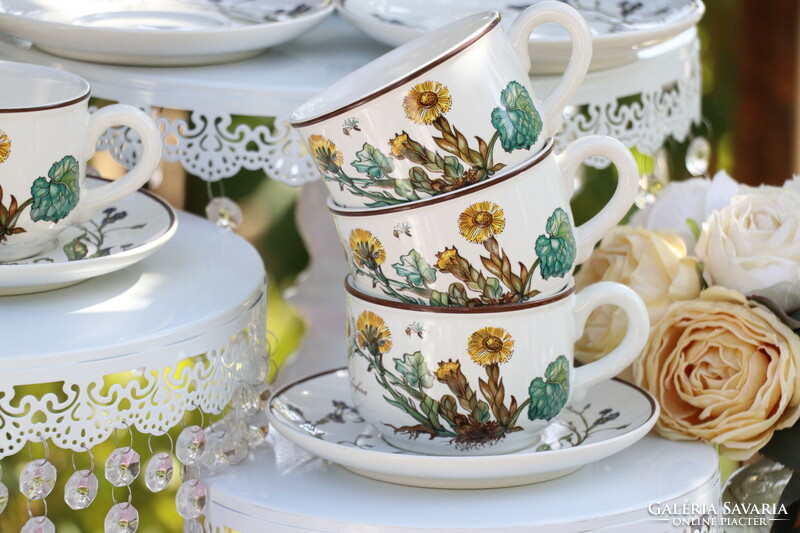 Villeroy botanica cup + saucer