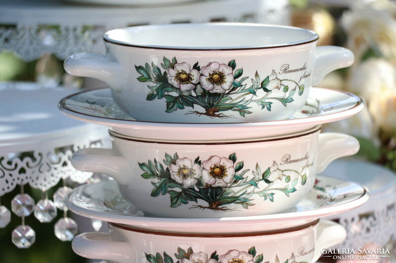 Villeroy botanica soup cup + saucer