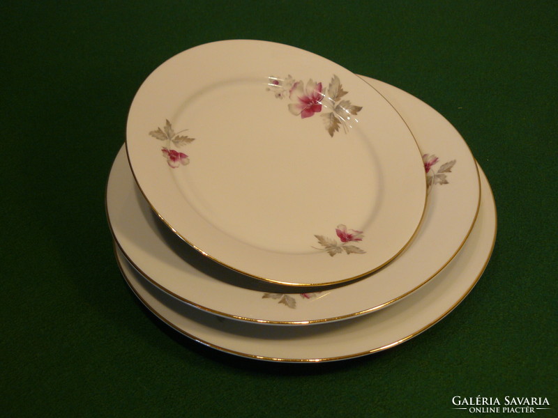 A set of plain porcelain plates with a floral golden edge