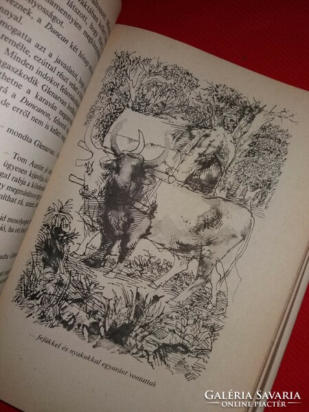 Jules Verne::Grant Kapitány gyermekei könyv klasszikus a képek szerint MÓRA