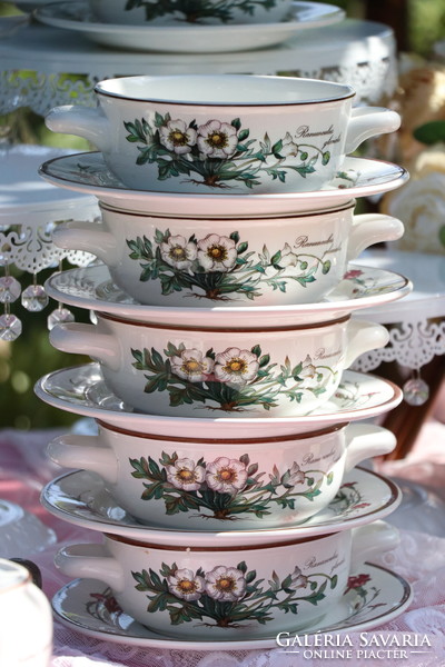 Villeroy botanica soup cup + saucer