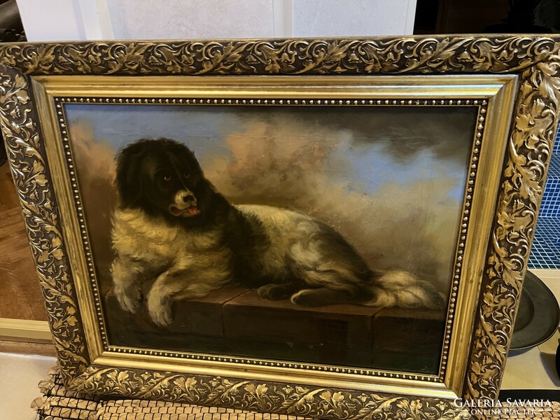 Dog portrait on oil canvas