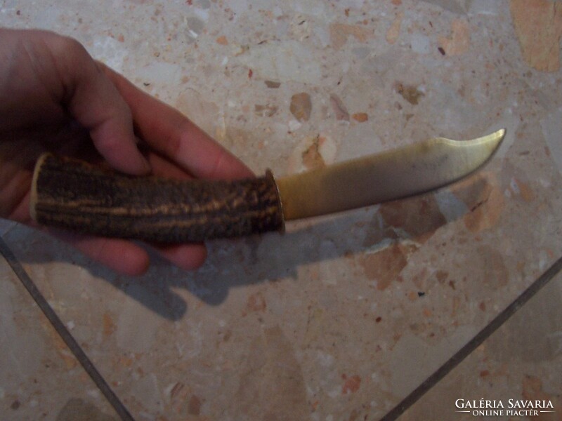 Decorative knife or leaf opener with antler handle