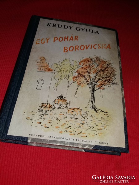 1948.KRÚDY GYULA: Egy pohár borovicska könyv Budapest Székesfőváros Irodalmi Intézet