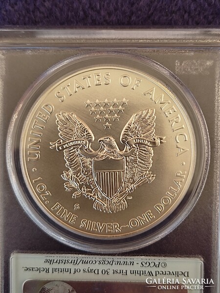 Silver eagle $1 usa