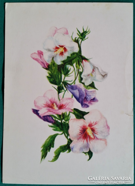 Virágos képeslap, grafika: Hernádi Paula, 1987, futott
