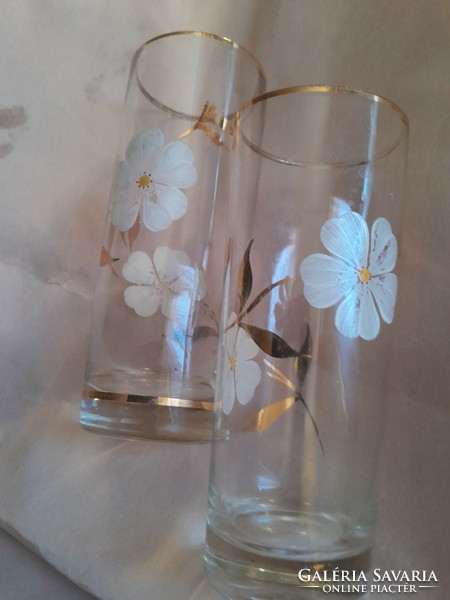 Pair of beautiful glasses with floral gold leaves