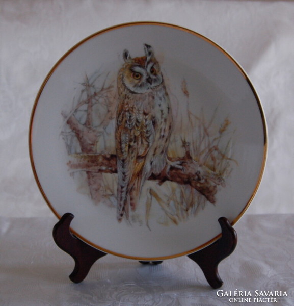 Beautiful stoke-on-trent owl plate long-eared owl'