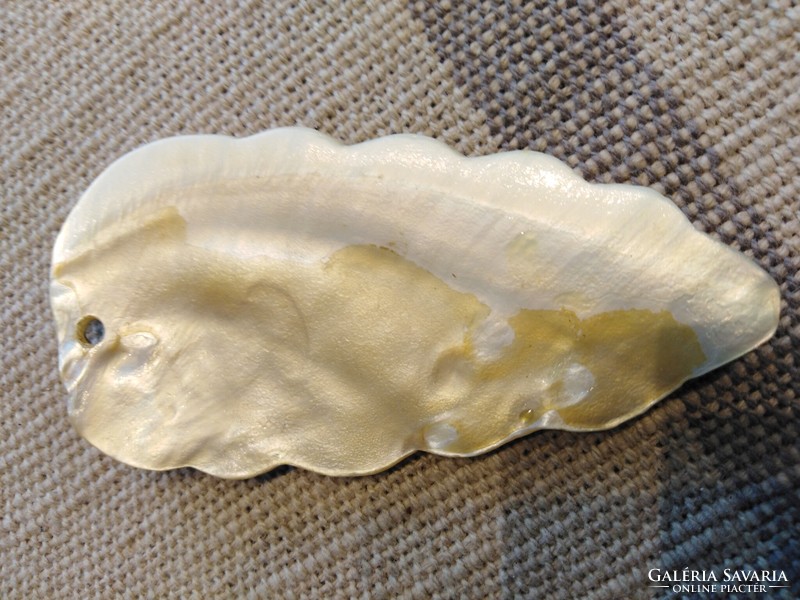 Levél, kagylóból - női medál