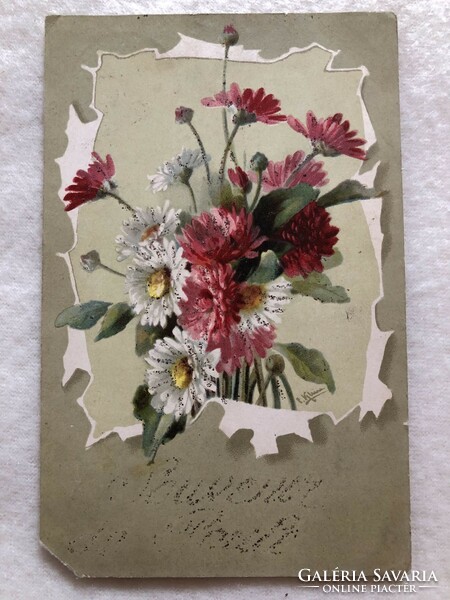 Antique chatarina klein litho floral postcard -3.