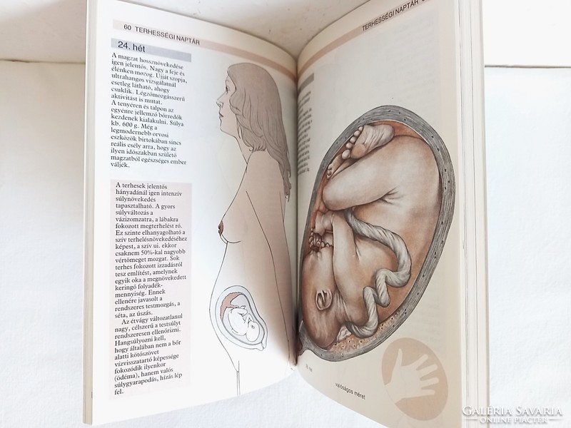 Dr. Marton István: Terheskönyv, könyv kismamáknak terhességről, szülésről