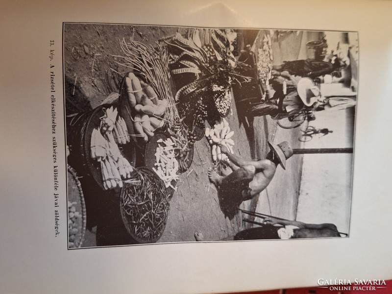 1936 Ernő Zboray: fifteen years on the island of Java--the library of the Royal Hungarian Society of Natural Sciences 105