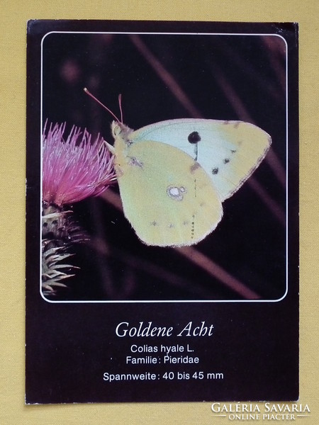 Postcard 1986. Greeting card from the NDK with a butterfly on the flower