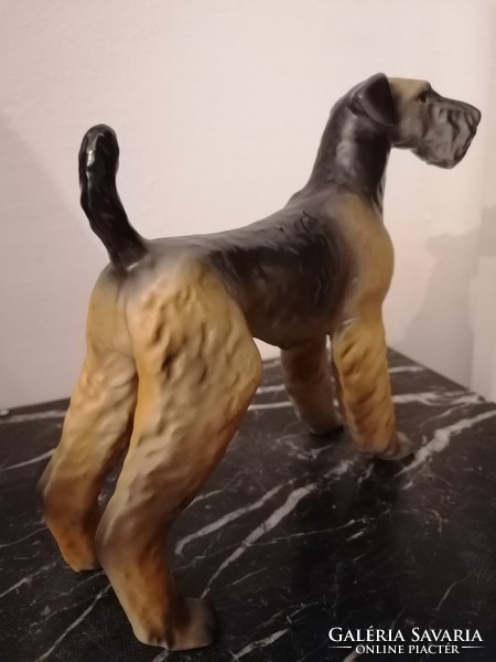 Antik hollóházi  airdale terrier kutya nagyobb méretű