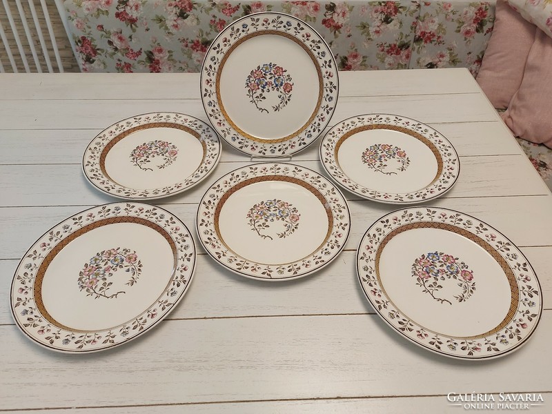 Antique English style faience plates (6 pcs.)