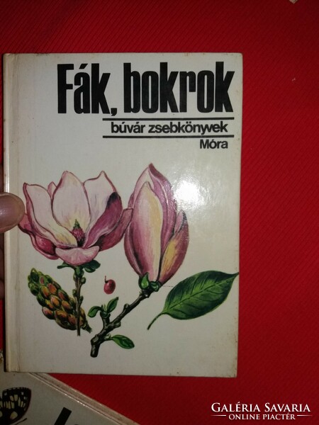 19878.Dr. Debreczy Zsolt: Fák, bokrok (Búvár zsebkönyvek) – Móra Ferenc Könyvkiadó képek szerint
