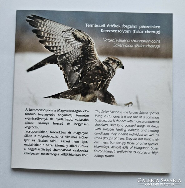 2020. Annual peregrine falcon traffic queue iii. Bu