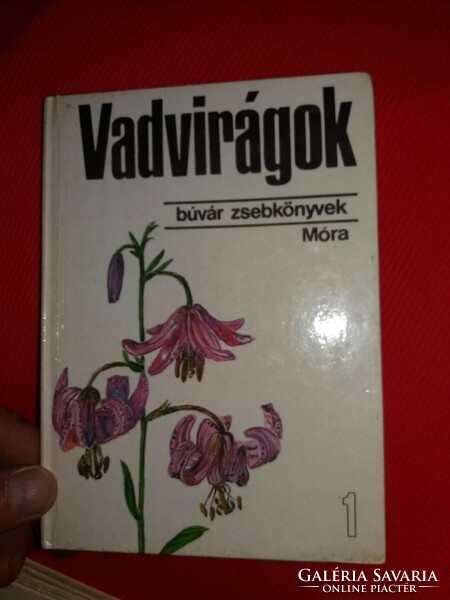 1981.Csapody-Horánszky: Vadvirágok 1. (búvár zsebkönyvek) – Móra Ferenc Könyvkiadó képek szerint