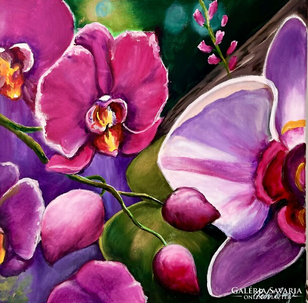 Egg bell++50x50 orchids colorful orchids