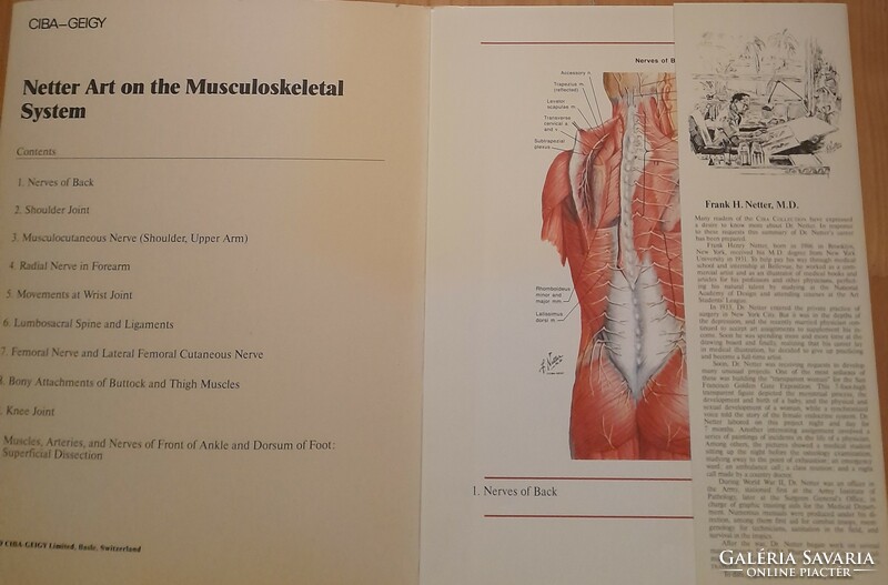 In English!!! The ciba collection of medical illustrations