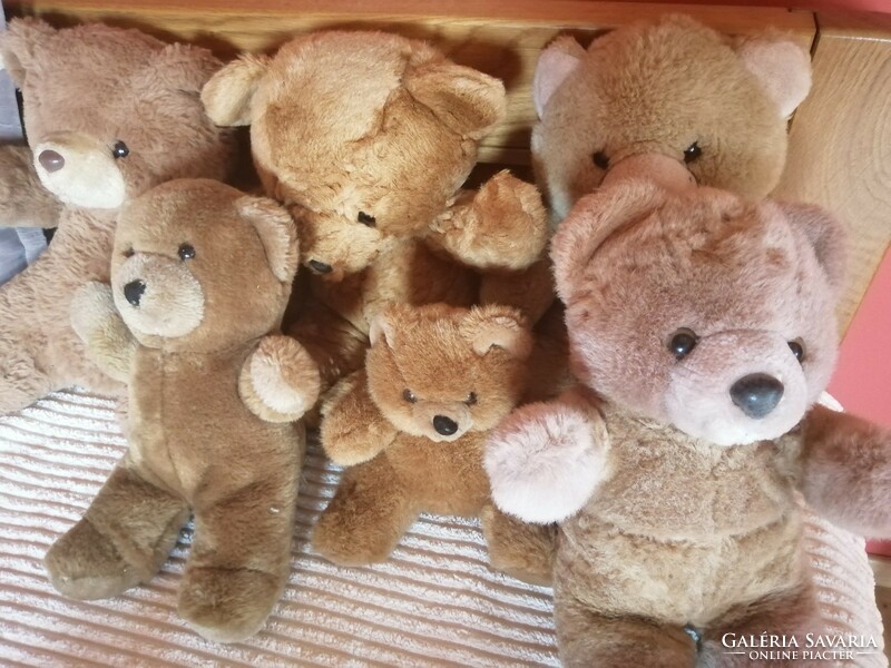 Teddy bear collection