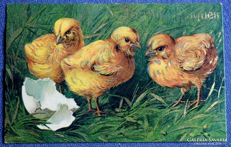 Antique gold pressed Easter greeting card chicks from 1907