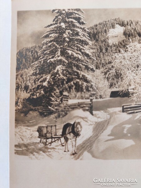 Old postcard Christmas photo postcard horse-drawn sleigh
