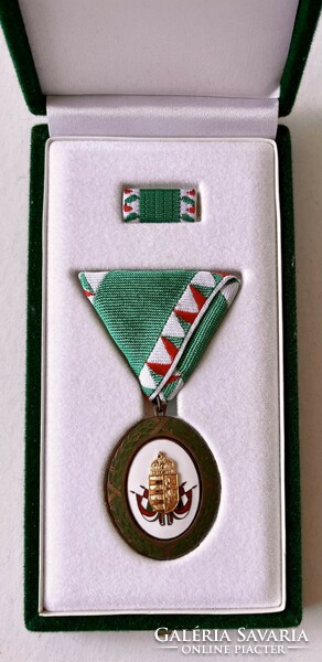 Service badge in bronze grade box