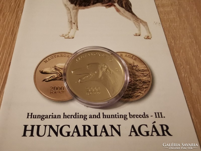 2021. Annual Hungarian greyhound non-ferrous metal commemorative coin proof like. 2000 HUF nominal value, unc quality