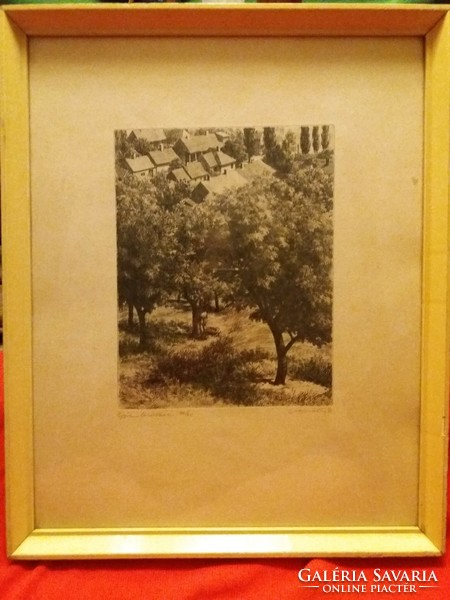 The work of András Csanády (1929 - ): etching in an orchard according to the pictures