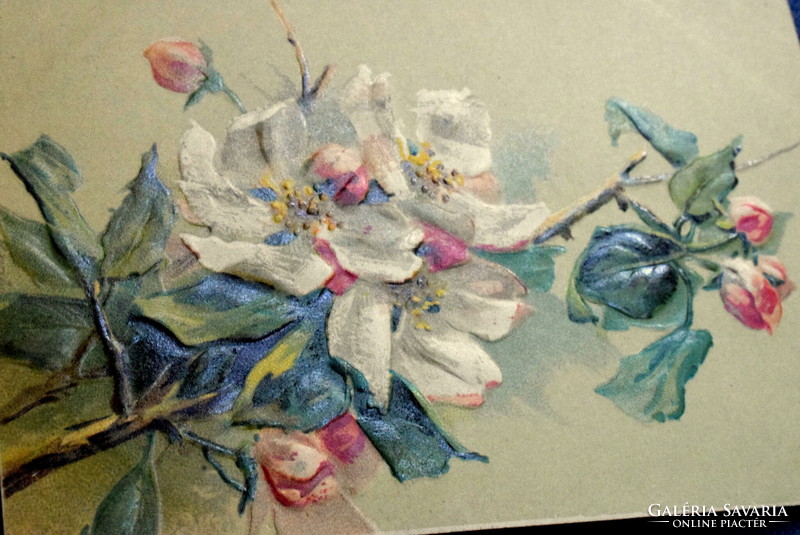 Antik dombornyomott jelzett művész képeslap - virágzó almafaág
