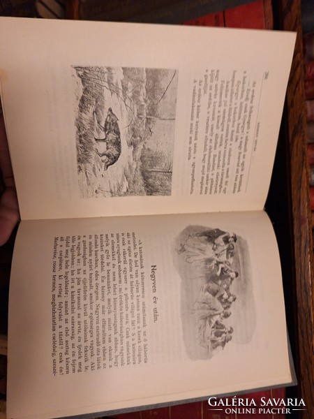Hunting! 1922 The iconic work iv. Published by István Bársony: nature and hunting pictures in the forest and field