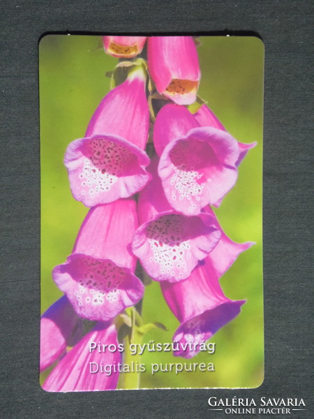 Card calendar, watering can, pharmacy, pharmacy, Pilisvörösvár, ploughland, flower, foxglove, 2013