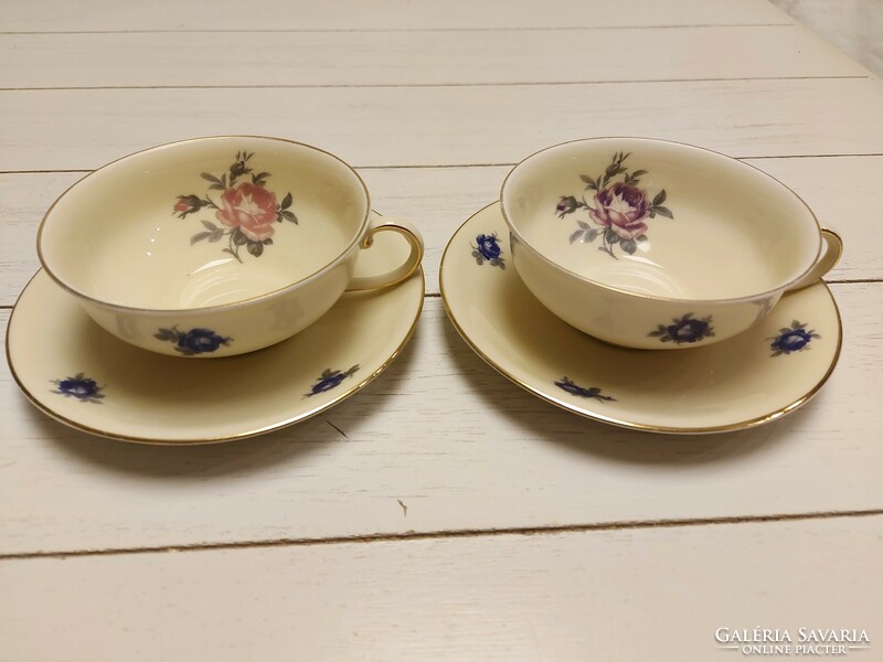 Bavaria German porcelain teacups
