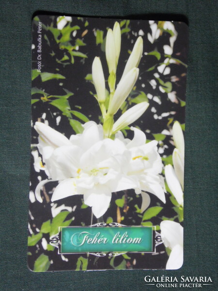 Card calendar, golden eagle pharmacy, pharmacy, herbal medicine, white lily flower, , 2016, (1)