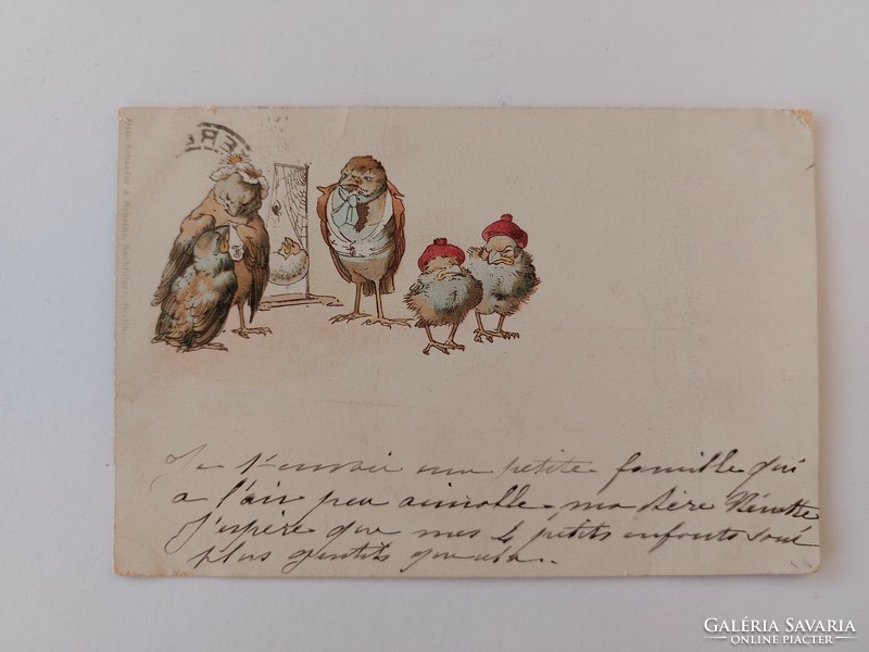Old postcard 1913 postcard birds
