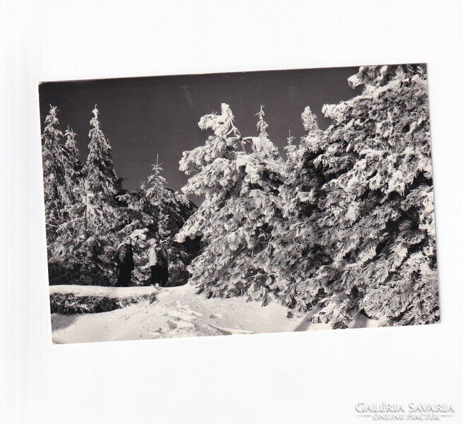 K:06 Karácsonyi képeslap Fekete-fehér
