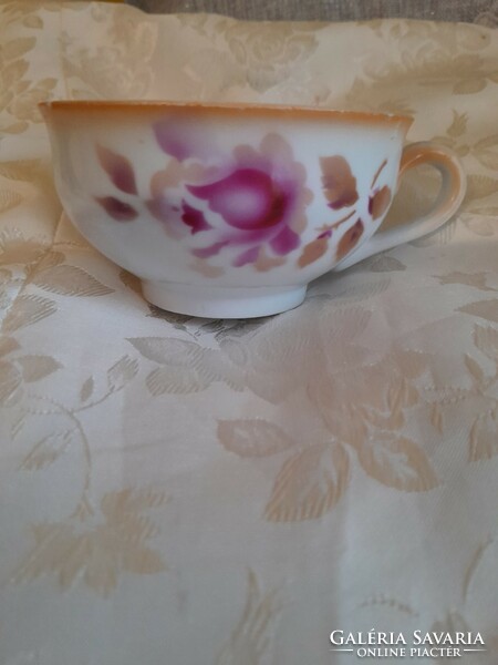 Victoria's collector's tea cup