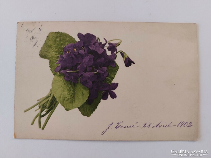 Old postcard 1902 postcard violet