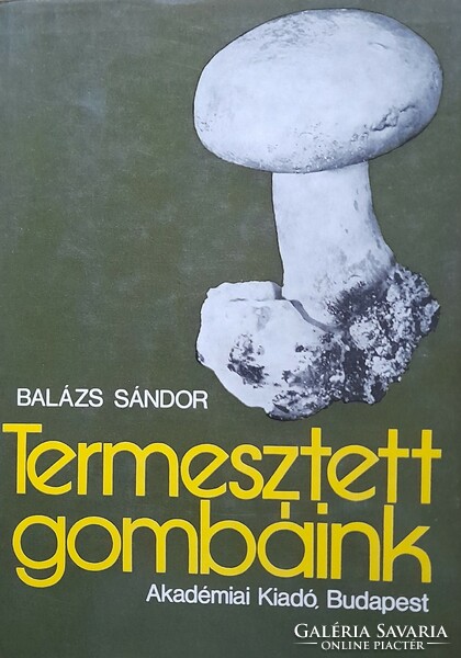 Our cultivated mushrooms - Balázs Sándor