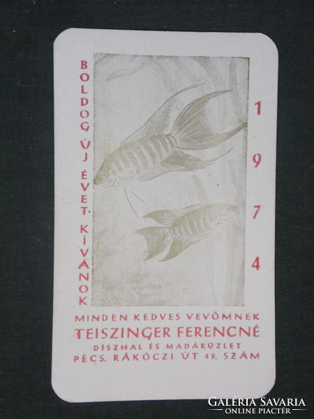 Kártyanaptár, Díszhal madár szaküzlet, Pécs,grafikai rajzos 1974 ,  (1)