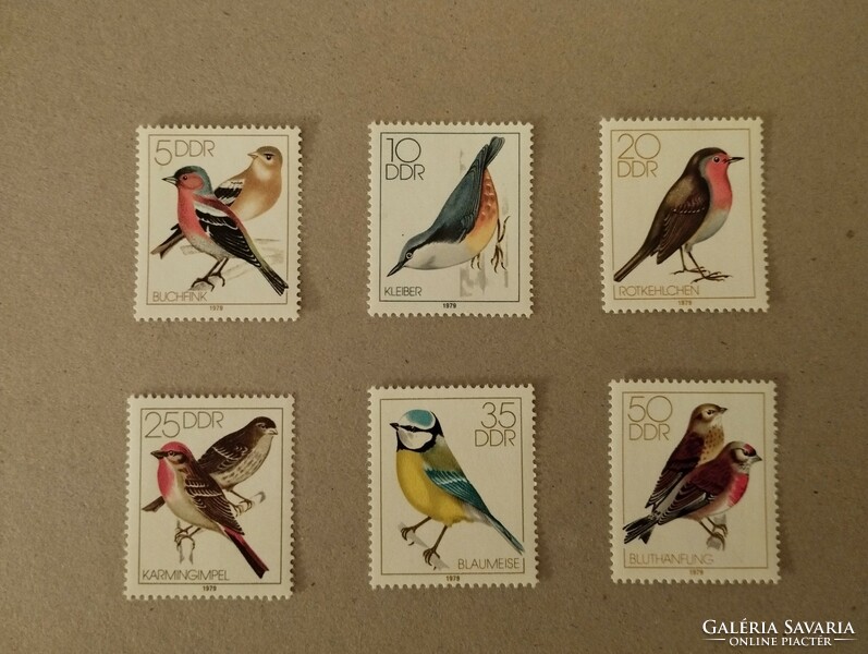 Germany, ddr- fauna, singing birds1979