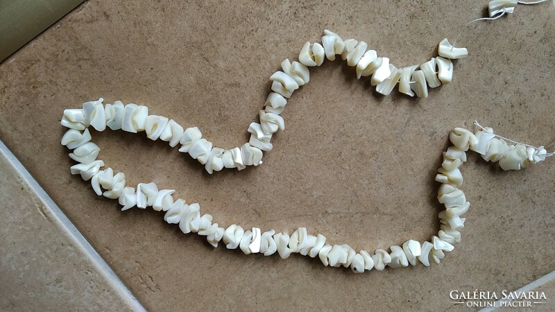 Shell (?) Necklace {v23}